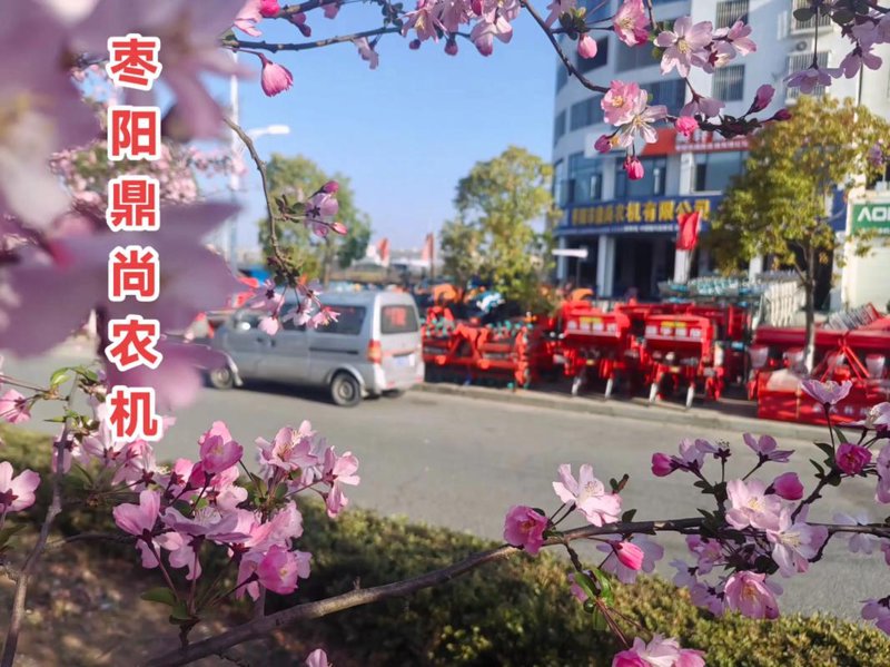 选择五征三轮车的全面指南